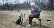  ?? DAX MELMER ?? Ken Matte sits with Aerial, his Boston terrier-beagle mix, at the dog park at Black Oak Heritage Park in west Windsor on Friday. If approved, a larger $75,000 dog park at Malden Park may open by May or June.