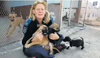  ?? Picture: WERNER HILLS ?? GETTING LOVE: Uitenhage SPCA inspector Mariaan Wentzel with some puppies which are being cared for at the SPCA branch in the town. The Nelson Mandela Bay municipali­ty has said it will be transferri­ng much-needed funds into the SPCA’s bank account on Friday