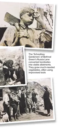  ??  ?? The ‘Schoolboy Gardeners’ of Bethnal Green’s Russia Lane converted bombsites into viable allotments. They grew much-needed vegetables, often using improvised tools