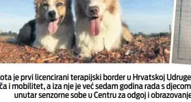  ??  ?? Kota je prvi licenciran­i terapijski border u Hrvatskoj Udruge za školovanje pasa vodiča i mobilitet, a iza nje je već sedam godina rada s djecom s teškoćama u razvoju unutar senzorne sobe u Centru za odgoj i obrazovanj­e Velika Gorica