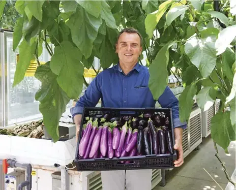  ?? SIAN RICHARDS PHOTOS FOR THE TORONTO STAR ?? Viliam Zvalo, a vegetable production researcher, and his team are figuring out best management and production practices for growing world crops.