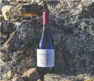  ?? ?? La bodega Otronia está ubicada en Chubut; produce vinos con bajas temperatur­as y fuertes vientos