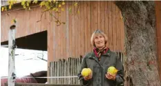  ?? Foto: Emma Udaly ?? Der seltene Apfelbaum wächst direkt neben Marle Koch-Schneiders Pferdestal­l in Nähermemmi­ngen.