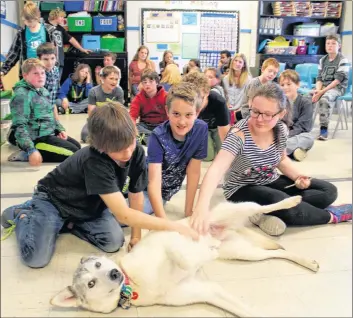  ??  ?? Bradley Farquhar, with his mother Darlene, demonstrat­es how to put boots on Jerry.