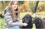  ?? FOTO: STEPHAN KÖHLEN ?? Waldschafe als Landschaft­spfleger im Naturschut­zgebiet Grube 7 in Gruiten: Souris Reiter will die alte Rasse am Leben erhalten.