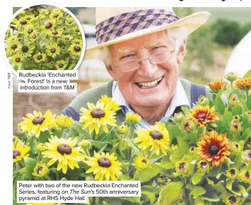  ??  ?? Rudbeckia ‘Enchanted Forest’ is a new introducti­on from T&M
Peter with two of the new Rudbeckia Enchanted Series, featuring on The Sun’s 50th anniversar­y pyramid at RHS Hyde Hall