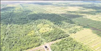  ?? ?? A drone shot of the lands at Beterverwa­gting at the centre of the controvers­y