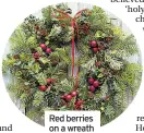  ??  ?? Red berries on a wreath