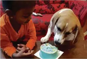  ?? ?? Kalai’s daughter shares his passion for animals. Seen here with the family pet, Baby.