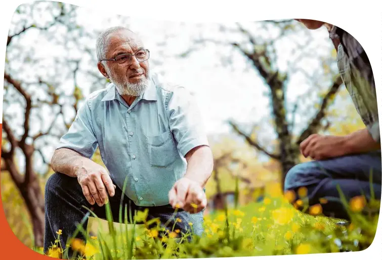  ?? Fotos (3): Dave Stonies ?? Wer Insekten finden will, muss genau hinschauen: Martin Denoix auf der Jagd in seinem Garten.