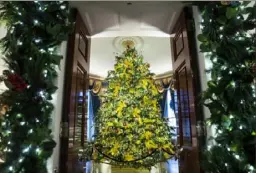  ?? Jabin Botsford/Washington Post ?? The 2020 official White House Christmas tree displayed in the Blue Room is a Fraser fir from Shepherdst­own, W.Va., trimmed with more than 160 artworks created by students from each state and territory depicting something that captures the spirit of their state.