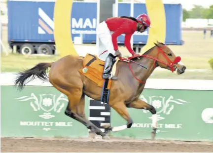  ?? (Photos: Karl Mclarty) ?? Banadura (Robert Halledeen) easily wins the Hotline Stakes on Saturday, March 23, 2024.