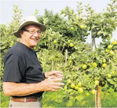  ?? GERRY KAHRMANN ?? Jim Rahe, one of the few B.C. growers cultivatin­g heritage and old-apple varieties, shows off some Bramleys in his orchard.