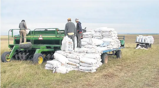  ??  ?? Para el trigo. Cargando la sembradora con fertilizan­te, en un campo en el litoral argentino. Los cereales, como trigo y maíz, se fertilizan mucho más que la soja.