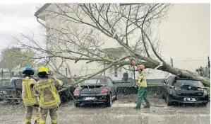  ?? FOTOS (4): BÄRBEL BROER ?? Dieser Baum war vom Sturm entwurzelt worden und auf mehrere Autos, die gegenüber vom Gymnasium geparkt waren, gestürzt.