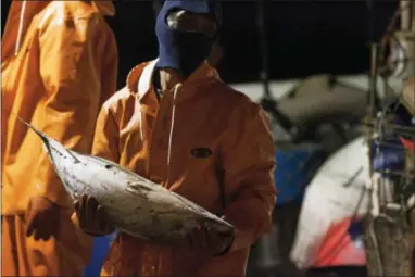  ?? CALEB JONES—THE ASSOCIATED PRESS ?? A man unloads fish from the U.S. fishing vessel, the Sea Dragon, at Pier 38 in Honolulu. On Friday, a Hawaii state agency is considerin­g a petition to change rules for commercial fishing licenses given to undocument­ed foreign fishermen. A federal...