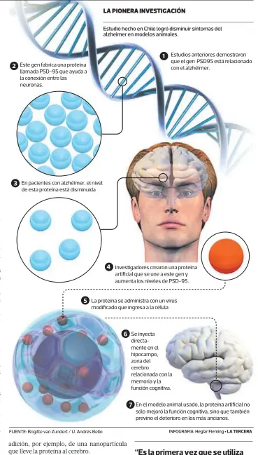  ?? INFOGRAFIA: Heglar Fleming • LA TERCERA ?? FUENTE: Brigitte van Zundert / U. Andrés Bello