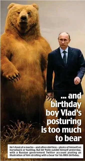  ?? ?? He’s fond of a macho – and often shirtless – photo of himself on horseback or hunting. But Mr Putin outdid himself yesterday, with a Russian government Twitter account posting an illustrati­on of him strolling with a bear for his 69th birthday.
