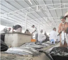  ?? ?? Oman’s fish exports rose to more than 300,000 tonnes, a growth rate of 47.3 per cent, with a total value estimated at RO 114,275,600 in 2020.