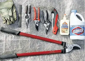  ?? DAVE BOWMAN / TRIBUNE NEWS SERVICE ?? Tools for pruning include gloves, a sharpener, a hand saw, bleach and an assortment of pruning shears.