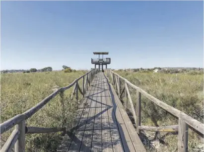  ?? Foto: Comunitat ?? Umstritten: Río Safari plant einen Campingpla­tz nahe der Salinen von Santa Pola.