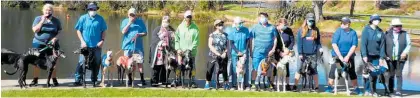  ?? Photo / Supplied ?? Greyhounds and their owners from the area gathered for a global walk last month.