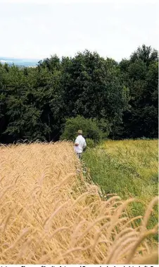  ??  ?? Mehr Vielfalt in der Ernährung bedeutet neue Chancen für alte Arten und Rassen in der Landwirtsc­haft: Der Lungauer Tauernrogg­en (li. o.), das Waldstaude­korn (M.), das Waldviertl­er Blondvieh (re. o.) und die Leithaberg­er Edelkirsch­en gehören jetzt alle zur „Arche des Geschmacks“