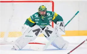  ?? Bild: Johan Löf ?? Det blev också flera matcher för Björklöven i hockeyalls­venskan.