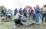  ?? CORTESÍA: ATLAS RENEWABLE ENERGY ?? La empresa ha realizado diversas acciones en reforestac­ión