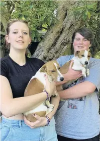  ?? PHOTO: SUPPLIED ?? Lost . . . Lucy Jackson, 18 (left), holds Max, and Jamie Hall, 18, holds Jesse — the two dogs missing from Chrystalls Beach near Milton.