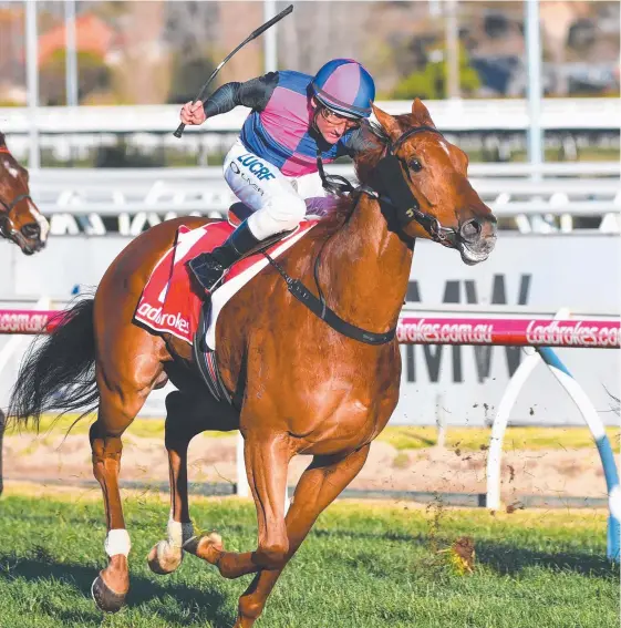  ?? Picture: GETTY IMAGES ?? The failure of his appeal will mean Damien Oliver loses the ride on Vega Magic in the Memsie Stakes next month.