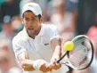  ??  ?? HIGH HOPES: Jason Day is rated best Aussie for the British Open, while Novak Djokovic is in the Wimbledon semi-finals.