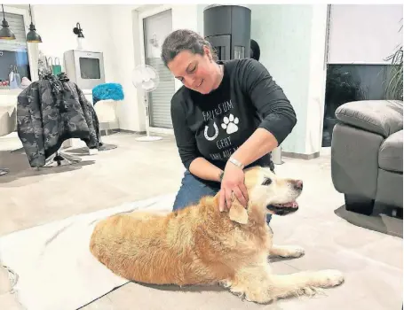  ?? FOTO: VERA STRAUB ?? Schmerzen von Tieren zu lindern, ist oberstes Ziel der Tierphysio­therapeuti­n Vanessa Scheulen, die hier Golden Retriever Hündin Anna behandelt.