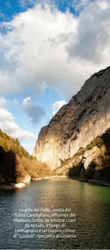  ??  ?? La gola del Furlo, creata dal fiume Candiglian­o, affluente del Metauro. Sotto, da sinistra: i cani da tartufo, il borgo di Fermignano e un cestino colmo di "crostoli", specialità di Urbania.