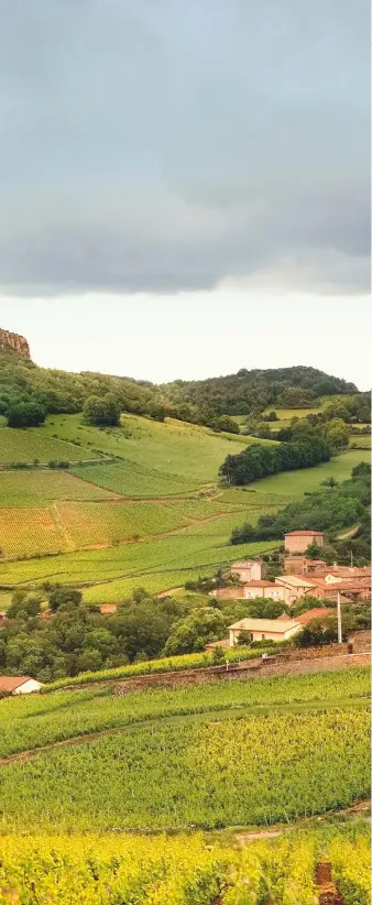  ??  ?? Left: Domaine Guffens-Heynen owns vines lying on the slopes above the village of Vergisson
