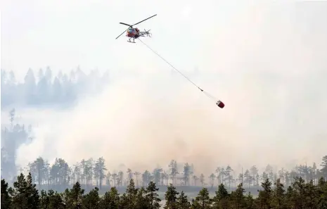  ?? FOTO: LEHTIKUVA/JONATHAN NACKSTRAND ?? Skogsbränd­erna och algblomnin­gen var heta samtalsämn­en svenskar emellan, så länge värmen varade. Nu är invandring­en igen det samtalsämn­e som tar mest plats.