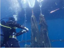  ?? AP Photo/ Elena Becatoros ?? ■ A group of divers recover an abandoned fishing net from the sea May 20 near Poros island, Greece. Lost, abandoned and discarded fishing nets, known as ghost nets, kill millions of marine creatures and can continue fishing for centuries until they...