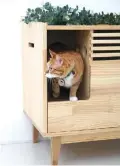  ?? TUFT + PAW ?? Tuft + Paw’s Rifiuti is a birch sideboard that discreetly holds a litter box.