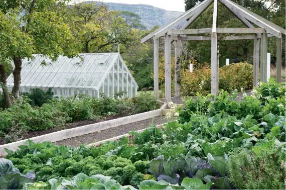  ??  ?? THIS PAGE All vegetables in the prolific Annandale potager are propagated on site, with purpose-built shelves in the glasshouse for raising seeds; the gazebo supports kiwifruit vines.
OPPOSITE (from top) Mark first saw the property in spring and was...