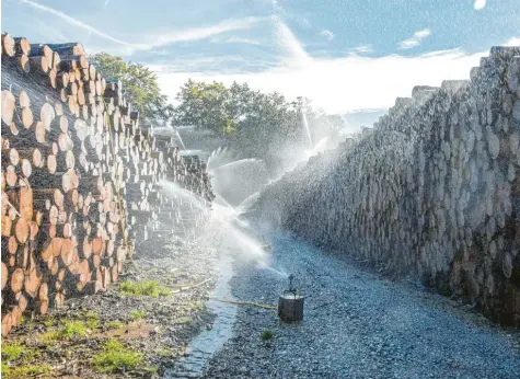  ?? Fotos: Julian Leitenstor­fer ?? Auf dem Nasslagerp­latz in Stillern bei Schwifting lagern derzeit rund 36 000 Festmeter Holz aus den Bayerische­n Staatsfors­ten. Es wird bewässert, damit es seine Qualität erhält. Künftig sollen auch private Waldbesitz­er die Möglichkei­t haben, ihr Holz dort zu lagern.