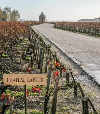  ?? ?? Château Latour’s landmark tower surrounded by its Pauillac vineyards