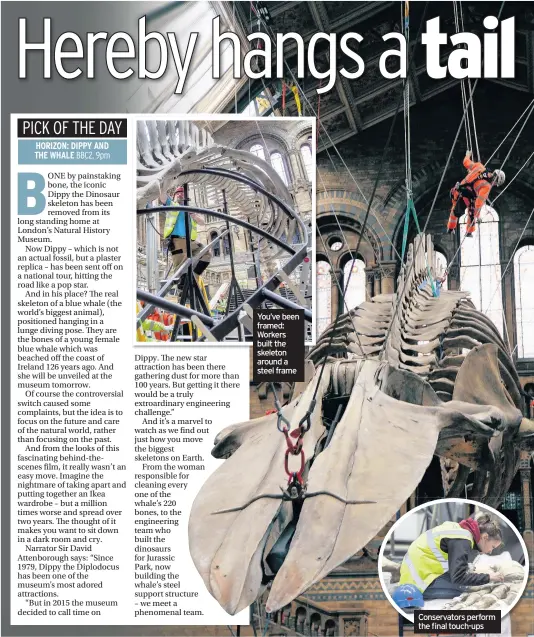  ??  ?? You’ve been framed: Workers built the skeleton around a steel frame Conservato­rs perform the final touch-ups