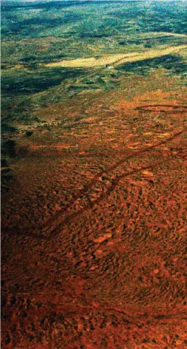  ??  ?? Marree Man bestrides the desert plains of far north SA. Its outline is 24km around, and its lines are broader than a city street, at 80m wide. It’s a magnificen­t work of art – and an intriguing mystery.