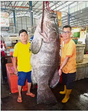  ??  ?? Super grouper: The giant grouper which was sold for almost RM11,000 at the Cecil Street Market in Penang.