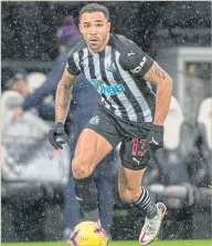  ??  ?? Newcastle United striker Callum Wilson