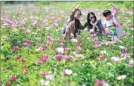  ?? LIANG XIAOPENG / FOR CHINA DAILY ?? Tourists take photos in a field of colorful flowers near a village in Qingdao, Shandong province in May.