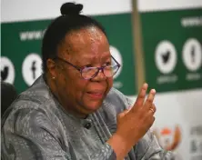  ?? ?? Dr Naledi Pandor, South Africa’s minister for internatio­nal co-operation, is pushing for peace in Gaza