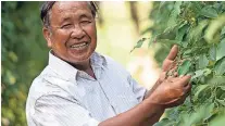  ??  ?? Ngnoun Lay, Vorsitzend­er der „Kampot Pepper Farmer’s Associatio­n“