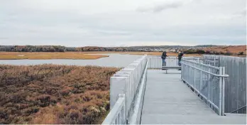  ?? FOTO: CHRISTINA HORSTEN/DPA ?? Besucherpl­attform im Freshkills Park auf Staten Island.