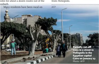  ?? Photo: AFP ?? Partially cut-off trees in a street in Heliopolis in the Egyptian capital Cairo on January 27.